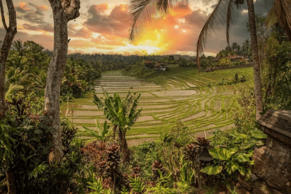 Best Underrated Bali Destinations You Should Visit