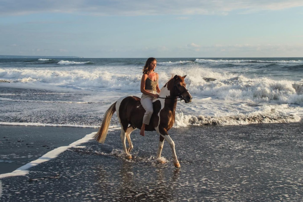 Horse Riding in Bali: The Best Schools and Stables for Professional Lessons, Kids’ Pony Rides and Scenic Tours Too… Giddy Up!