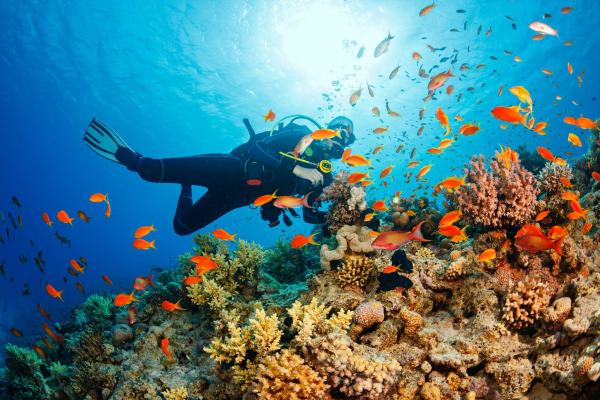 Exploring Bali’s Best Scuba Diving Spots