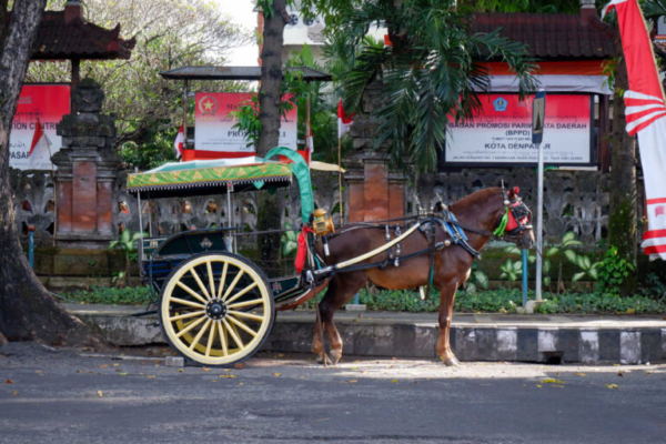 New Activities Bring More Tourists To Bali’s Denpasar 