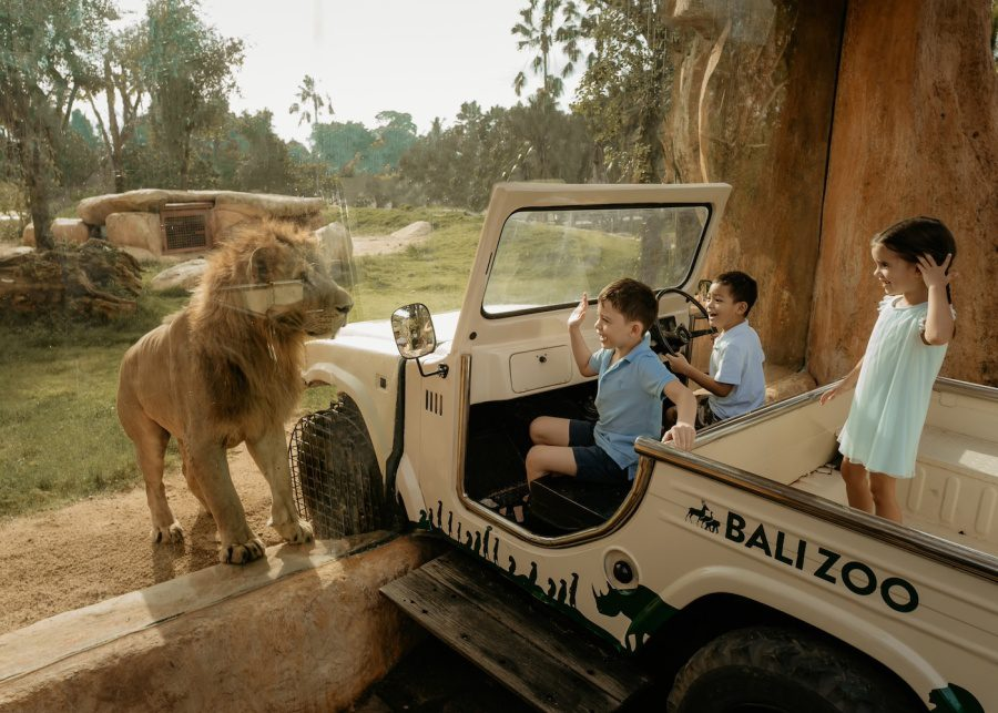 Looking for A Wild Day Out with The Family? Get Up Close & Personal with The Animals at Bali Zoo!